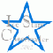 Logo: IceStars Cheerleader e. V.