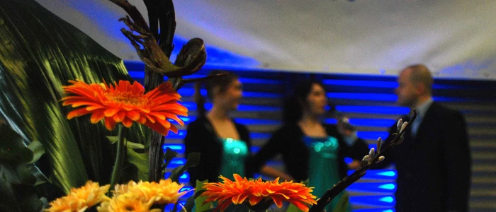 SSB-Empfang Blumen
