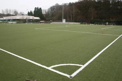 Rasensportplatz