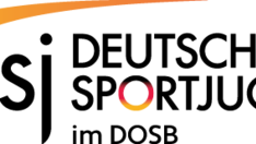 logo_dsj.png