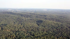 Sommerfest 2011