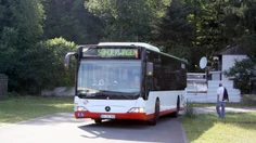Sommerfest 2011