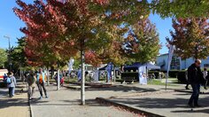 WS18092904 Schnuppertag Abschluß Springerplatz_WEB.jpg