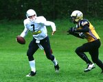 AF_Quarterback_Gollan