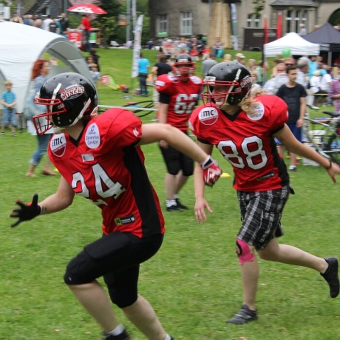 FdS 2012_033