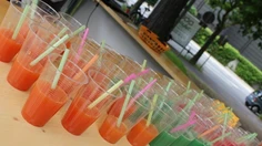 FdS 2012_111