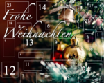 2020-11-26 Adventskalender.png