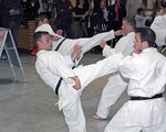 Karate_Spk_2013