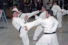 Karate_Spk_2013