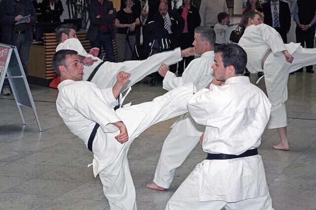 Karate_Spk_2013
