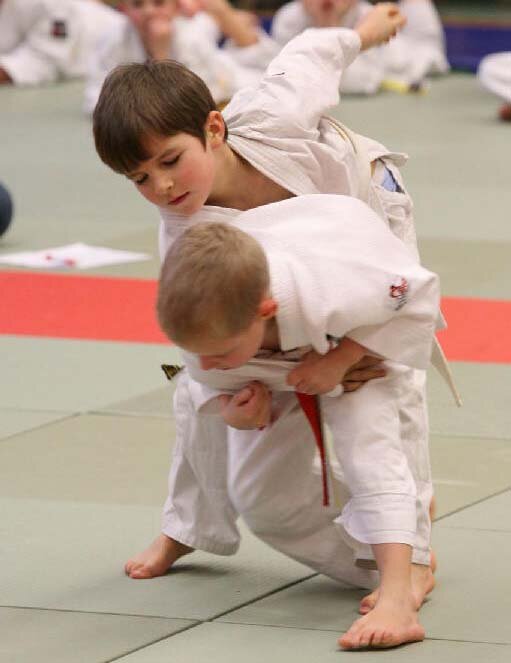 Judoka-Hoentrop