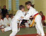 Zwei kleine Judoka beim Kampf