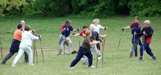 Gruppe bei Stretching-Übungen auf der Grünen Wiese.