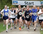 Start Volksparklauf